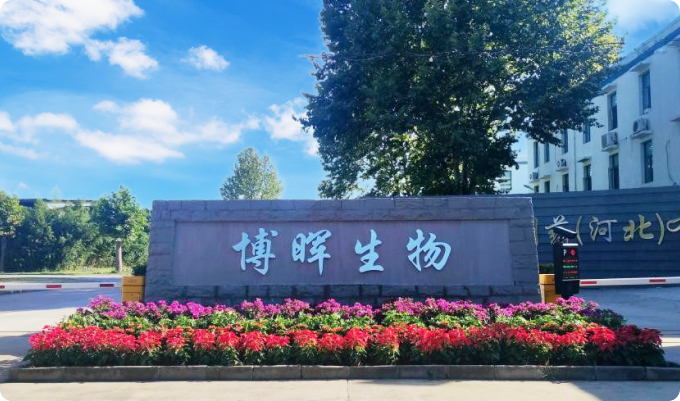 ̫�����Ź���������ҩ���ӱ������޹�˾